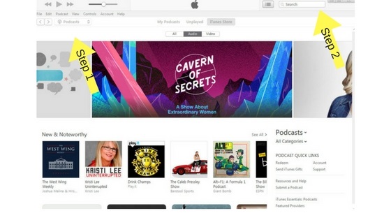 step 1 iTunes review - Copy